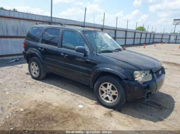  Salvage Ford Escape