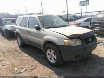  Salvage Ford Escape