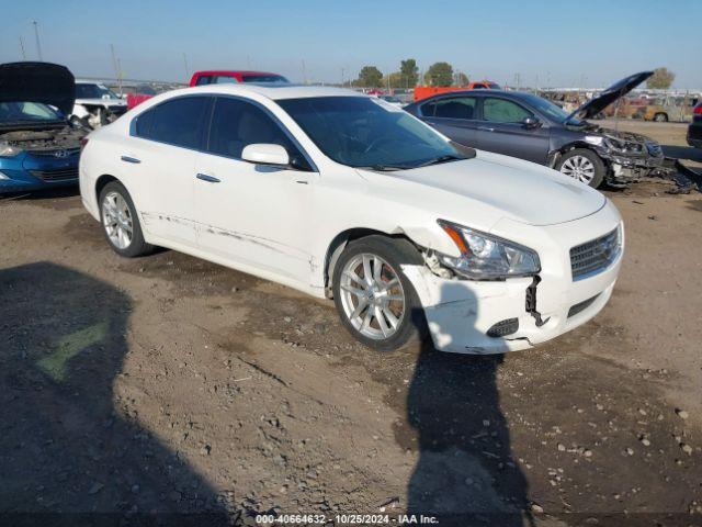  Salvage Nissan Maxima