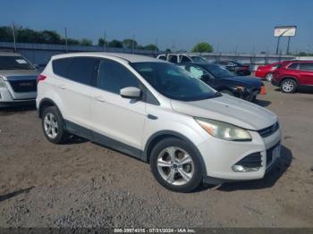  Salvage Ford Escape