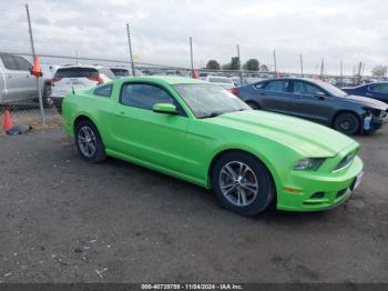  Salvage Ford Mustang