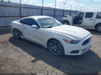  Salvage Ford Mustang