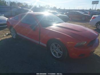  Salvage Ford Mustang