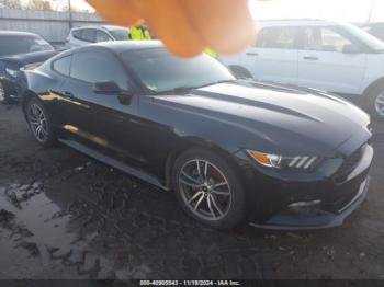  Salvage Ford Mustang