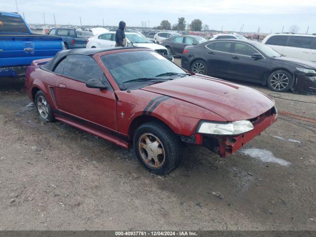  Salvage Ford Mustang