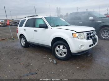  Salvage Ford Escape