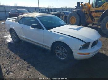  Salvage Ford Mustang