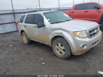  Salvage Ford Escape