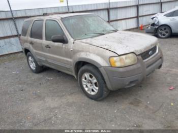  Salvage Ford Escape