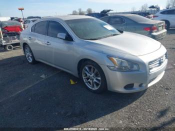  Salvage Nissan Maxima