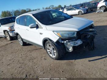  Salvage Ford Escape