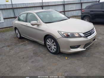  Salvage Honda Accord