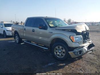  Salvage Ford F-150