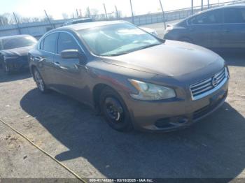  Salvage Nissan Maxima