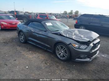  Salvage Ford Mustang