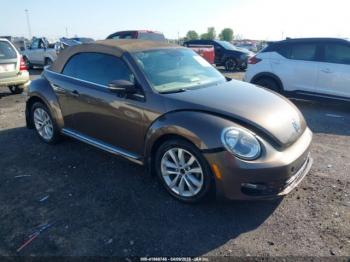  Salvage Volkswagen Beetle