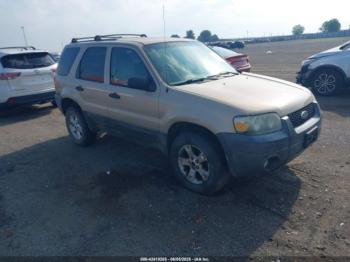  Salvage Ford Escape