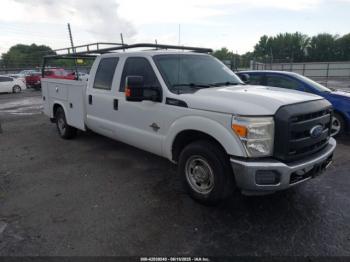  Salvage Ford F-250