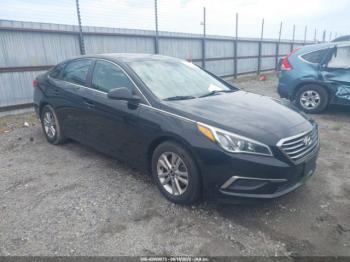  Salvage Hyundai SONATA