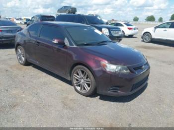 Salvage Scion TC