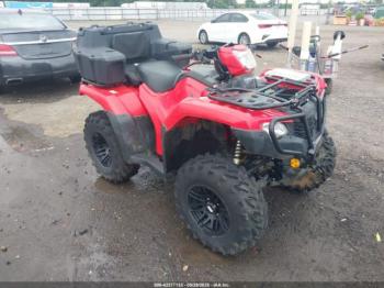  Salvage Honda Trx520