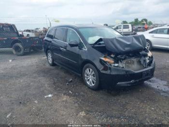  Salvage Honda Odyssey