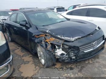  Salvage Nissan Maxima