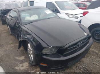  Salvage Ford Mustang