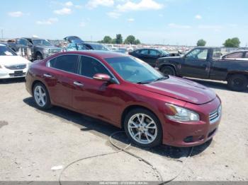  Salvage Nissan Maxima