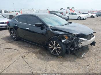 Salvage Nissan Maxima
