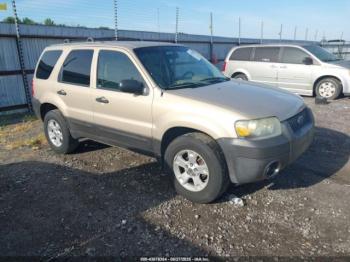  Salvage Ford Escape