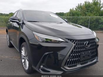  Salvage Lexus NX