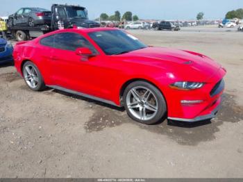  Salvage Ford Mustang