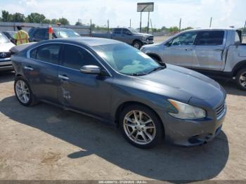  Salvage Nissan Maxima