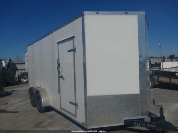  Salvage Cynergy Cargo 2