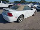 Ford Mustang Image 3
