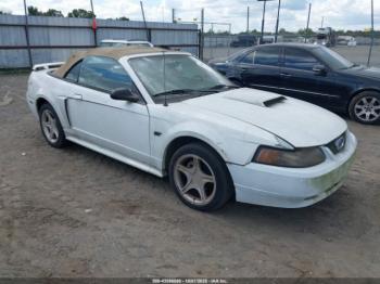  Salvage Ford Mustang