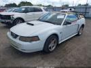 Ford Mustang Gt Image 6