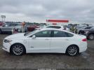 Ford Fusion Titanium Image 14