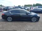 Honda Accord Ex-l Image 10