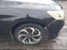 Honda Accord Ex-l Image 12