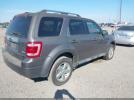 Ford Escape Limited Image 5