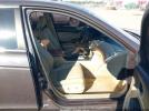 Honda Accord 3.5 Ex-l Image 7
