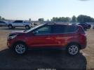 Ford Escape Se Image 14