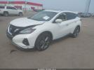 Nissan Murano Platinum Image 2