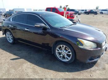  Salvage Nissan Maxima