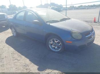  Salvage Dodge Neon