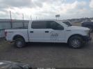 Ford F-150 Xl Image 12