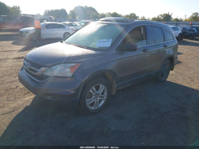 Honda CR-V Ex Image 6