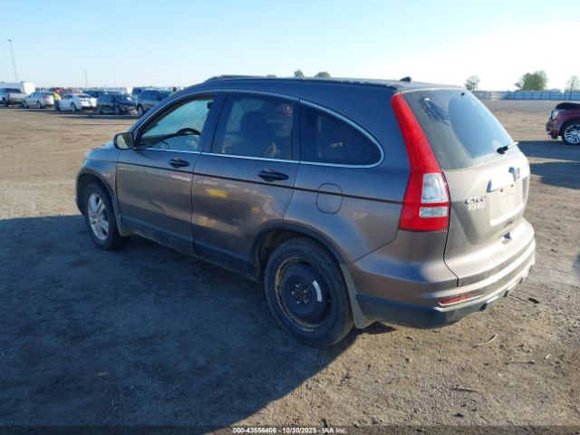 Honda CR-V Ex Image 3